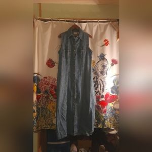 Vintage denim dress